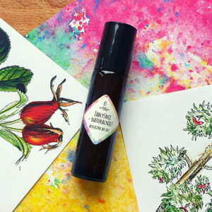 NOWA KOSMETYKA Błyszczyk do ust Zabłyśnie naturalnie