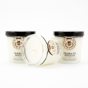 MIODOWA MYDLARNIA Świeca sojowa Trawa Po Deszczu